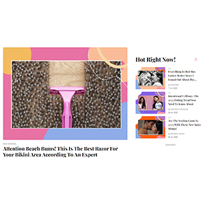 Attention beach bums this is the best razor for your bikini area according to an expert — Popxo