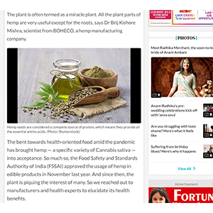 Skinzest in News Logic — News Logic